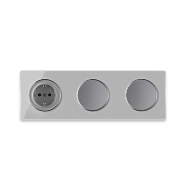 1x Prise de courant avec terre + 2x interrupteurs simple allumage avec plaque de finition en verre, 3 postes, horizontale - Gris